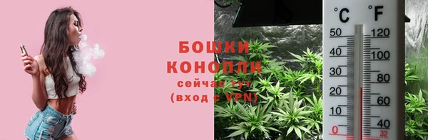 дурь Костерёво
