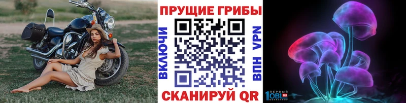 Купить закладки  Фролово  Псилоцибиновые грибы мухоморы 